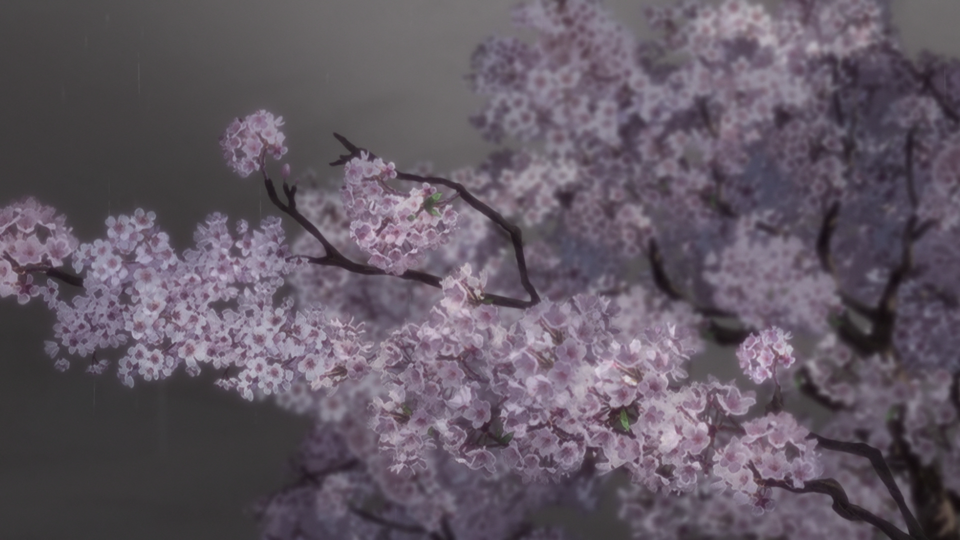 Yesterday wo Utatte BD (Anarchy Subs)